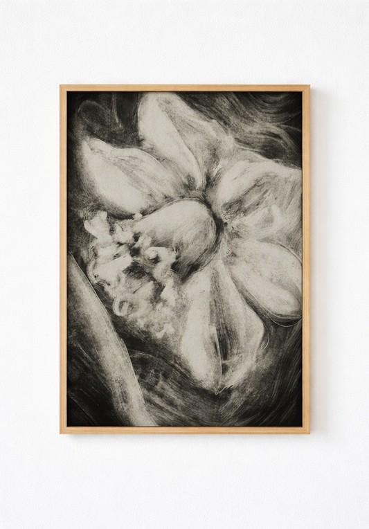 Daffodil II