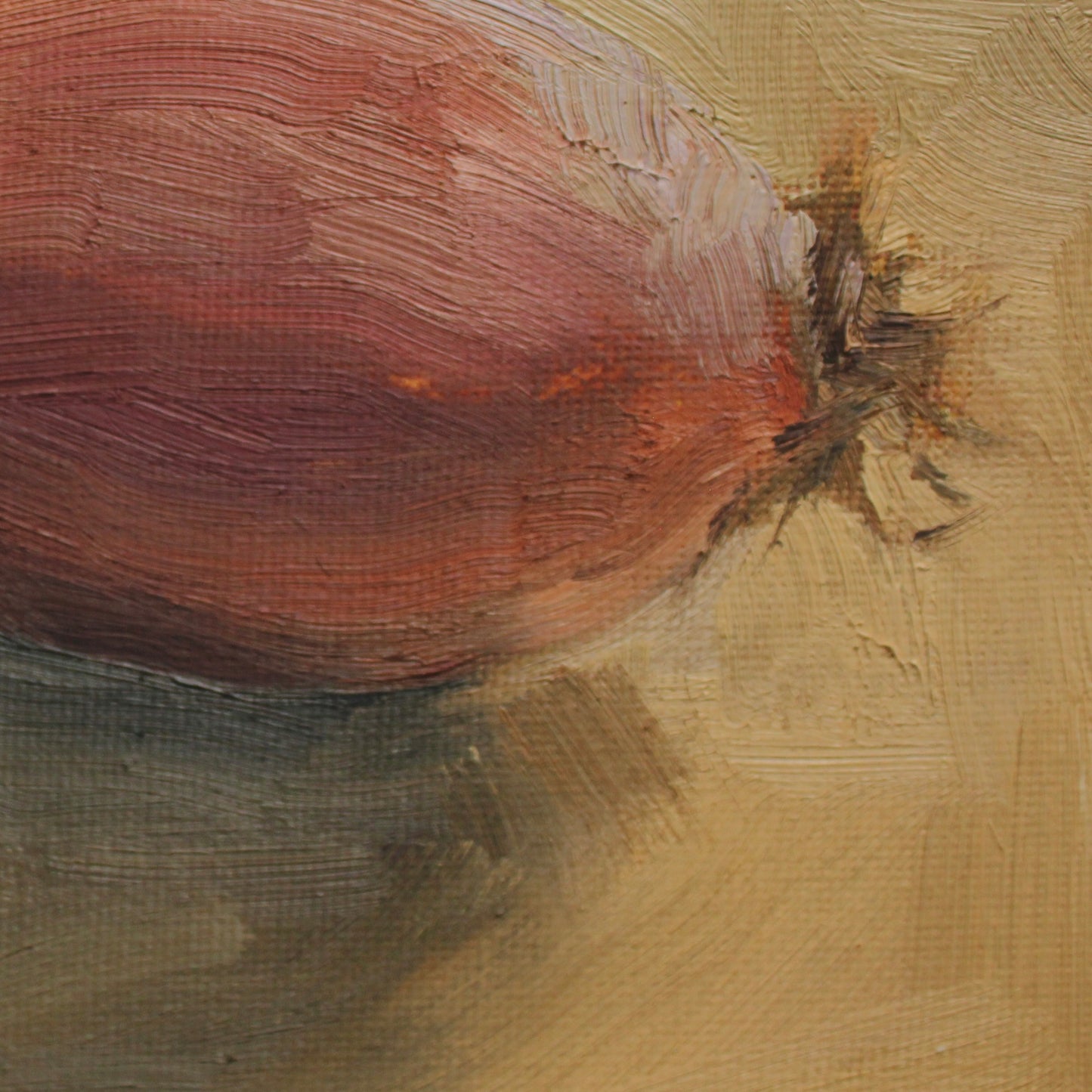 Onion study I