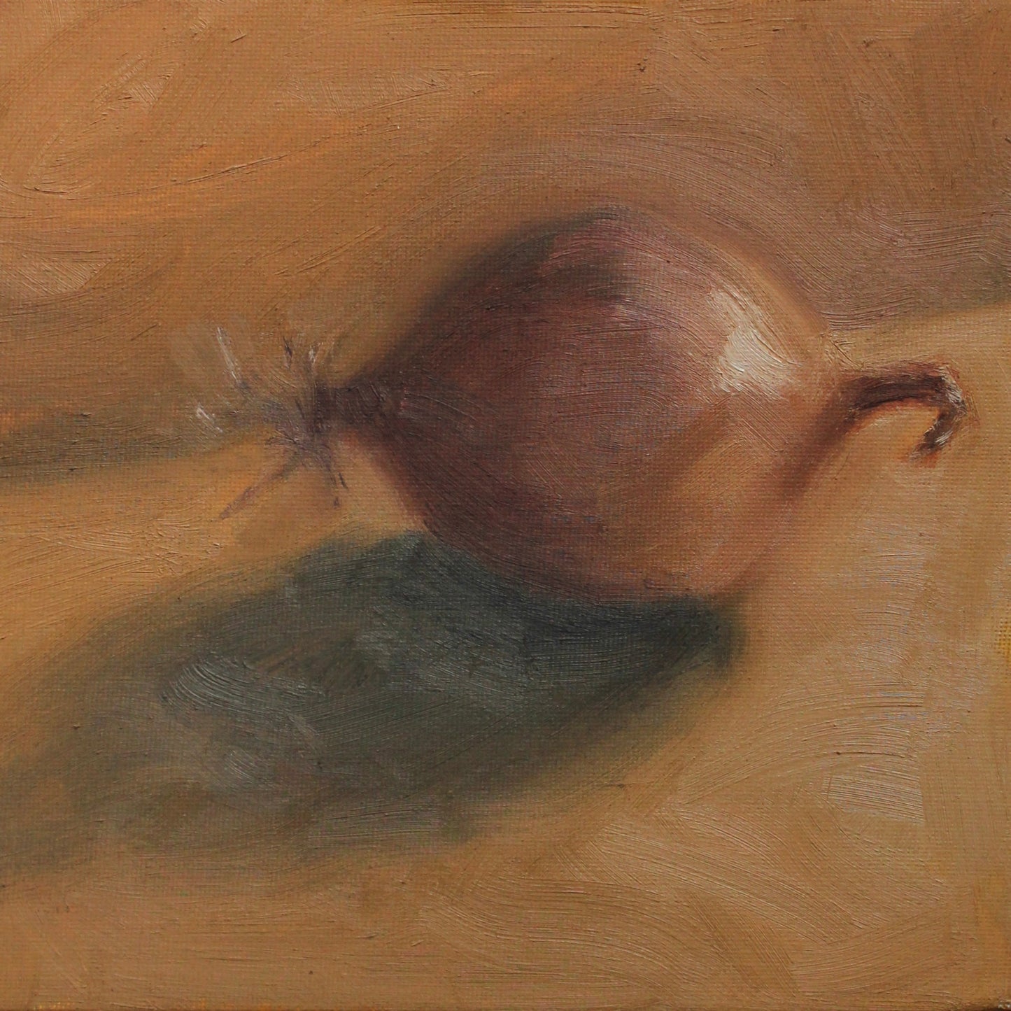 Onion study II
